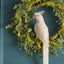 Wattle Eucalyptus Leaf Wreath 55cm