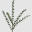 Glitter Eucalyptus Spray Green