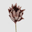 Glitter Protea Stem Brown