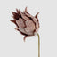 Glitter Protea Stem Brown