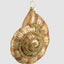 Bronze Glass Nautilus Shell Tree Decoration