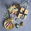 Bronze Glass Nautilus Shell Tree Decoration