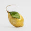 Capiz Handpainted Lemon Decoration (Set of 12)