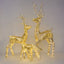 Wrapt Light Up Golden Reindeer Medium