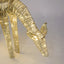 Wrapt Light Up Golden Fawn