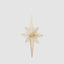 Polaris Golden Star Decoration