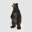 Cocoa Bear Giant