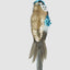 Shixi Sequin Budgie Bird Blue