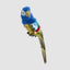 Huffer Parrot Blue Crest