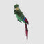 Estofar Parrot Green Crest