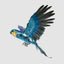Amorina Sequin Flying Parrot Large