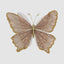 Jasmir Clip on Butterfly Brown