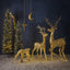 Golden Moon Crescent Decoration Large