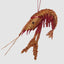 Lester Glitter Prawn Ornament Red Orange Ombre