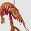Lester Glitter Prawn Ornament Red Orange Ombre