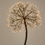 Lumi Light Up Dandelion 150cm with 576 LED Warm White Lights