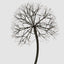 Lumi Light Up Dandelion 150cm with 576 LED Warm White Lights