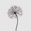 Lumi Light Up Dandelion 210cm with 1200 LED Warm White Lights