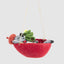 Hammock Harry Koala Hanging Decoration