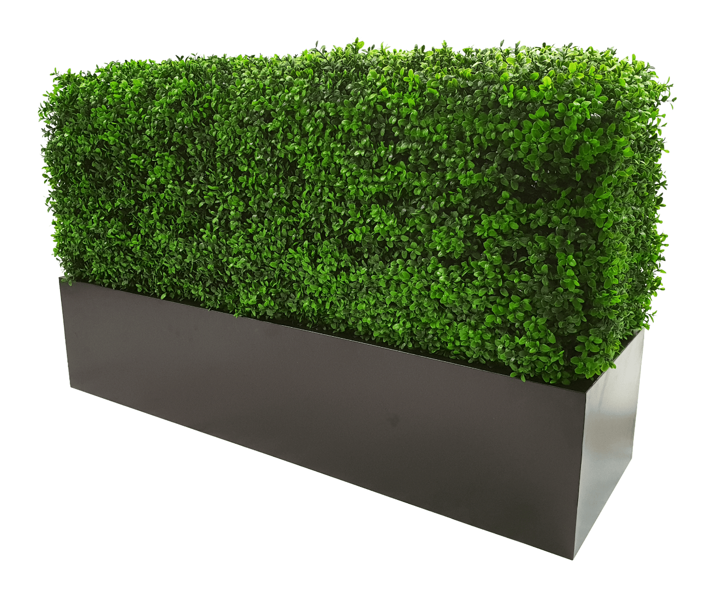 Deluxe Portable Buxus (Bright) UV Resistant 100cm Long x 50cm High x 25cm Wide