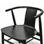 ining Chair - Black Shell - Black Seat (Set of 2)