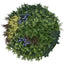 UV Lavender Fields Green Wall Disc (Black) 100cm