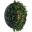 UV Green Field Green Wall Disc (Black) 100cm