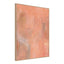 Bellini I Canvas Painting