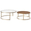 Chloe Glass and Timber Nesting Coffee Table - Gold