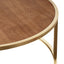 Chloe Glass and Timber Nesting Coffee Table - Gold