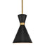 Oslo Pendant - Black w Brass