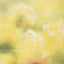 Soft Focus 100x140cm Canvas Painting