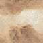 Mist 100x100cm Canvas Painting