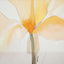 Soft Iris Set of Two Canvas Paintings