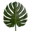 Leaf Philo 1.04m