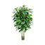 Schefflera Tree W/450 Leaves Green/Red