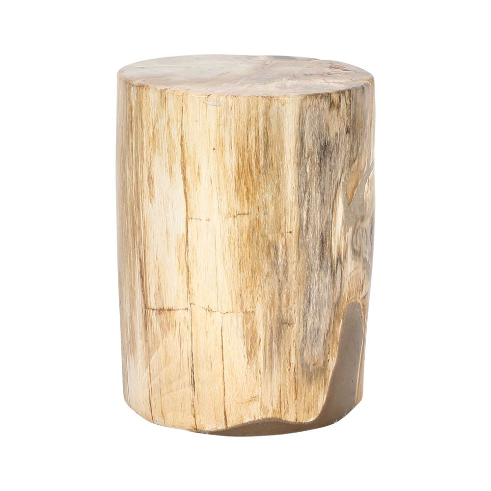 Petrified Wood Table Natural No. 6