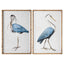 Trinity Beach Sea Birds Wall Art Set of