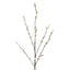 Pussy Willow twig Spray Cream