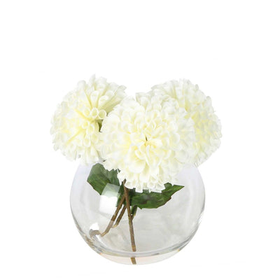 White Dahlia Delight Arrangement