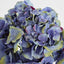 Hydrangea 50cm Dark Blue