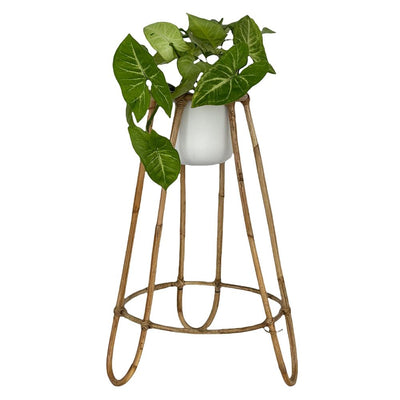 Malibu Rattan Planter with Stand