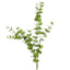 Eucalyptus leaf Spray Long 1m