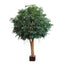 Mixed Ficus Giant Tree 3.7m 20496Lvs