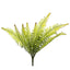 Fern Bush 50cm