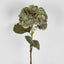 Hydrangea Large Stem With Leaves 75cm