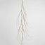 Twig Vine 135cm Dry Natural