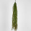 Water Grass Hanging Spray 98cm (Set of 6)