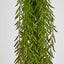 Water Grass Hanging Spray 98cm (Set of 6)