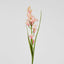 Tuberose Stem Pink 76cm